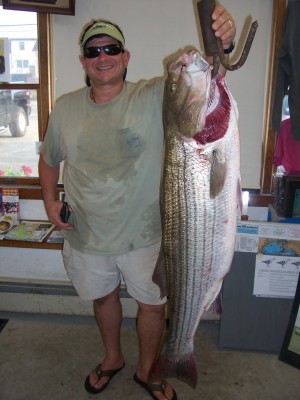 Don LaRuffa with a 38.4-pound caught using eels from the surf. Thanks to Surfland for the pic.