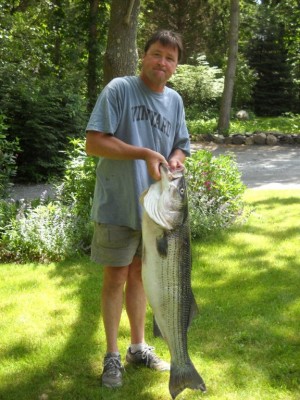 A 35-pound striper caught on a Gibbs plug.