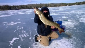 Kyle Aguiar caught this 13 1/2-pound pike on a Cape pond.