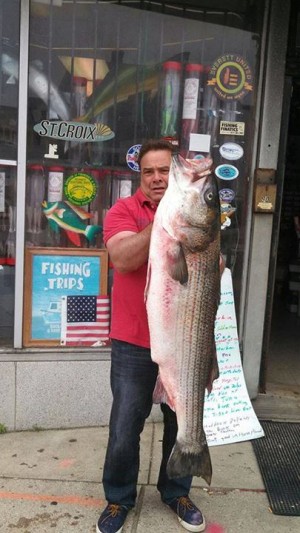 Capt. Russ Burgess pulled a 50-pounder out of a daytime blitz last week and went on to win the Boston Harbor Striper Shootout on Saturday.