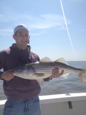 Stalker Fishing Charters in Cape May was able to put its clients on keeper stripers this week.