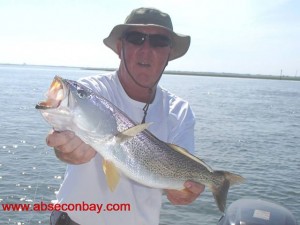 Dave Showell with a nice weakfish posted on the Absecon Bay Sportsman's Center Facebook page.