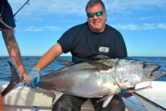 Reel Deal Charters had no problem finding bluefin this week.