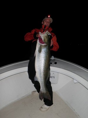 Mike Roy of Reel Cast Charters nailed this 44 pound striper casting a rigged eel in eastern CT Monday night.