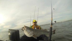 Vic Kadziela has had success fishing Long Island Sound in his kayak all week.