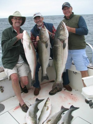 C Devil Charters had no problem finding bass out of Point Judith this week.