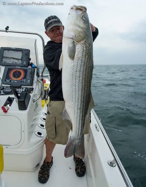 Captain Blaine Anderson of Anderson Guide Service managed to land a beautiful 50-inch striper in between bouts of unsettled weather in eastern Long Island Sound this Tuesday.