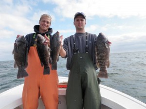 The guys at Reel Cast Charters had no problem getting their limits of tautog this week.