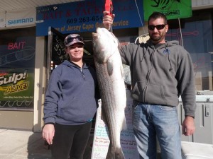 Bob, Marisa and the crew of Mako 258 had a good day trolling last week, pulling in this 45-inch, 36.1-pound striper.