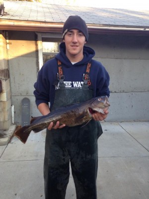 Josh Goncalves caught 4 keeper-sized cod along with 115 macks out of Plymouth last week.