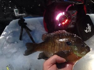 Tim Moore of Suds 'N Soda shared this photo on his facebook page, confirming the start of the ice fishing season.