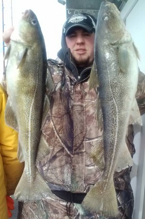Bill Stratton braved the cold and it paid off with some nice cod aboard the Island Current 3 on Wednesday.