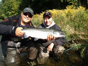 Douglaston Salmon Run posted this photo of a nice Atlantic Salmon taken this week on their Facebook page.