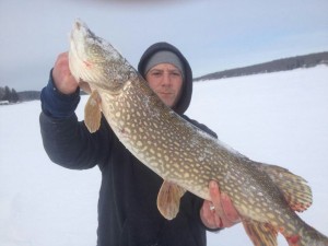 Bantam Lake saw a few nice pike hit the ice this week.