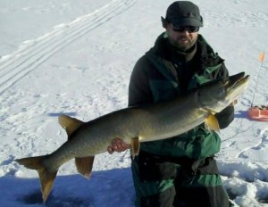 49 1/2 inch Lake Hopatcong true strain musky caught by Knee Deep Club's "Web Guy".