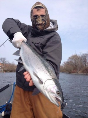 Catch the Drift is reporting strong fishing this week.