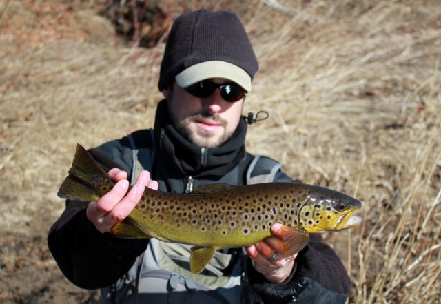 Farmington River Trout