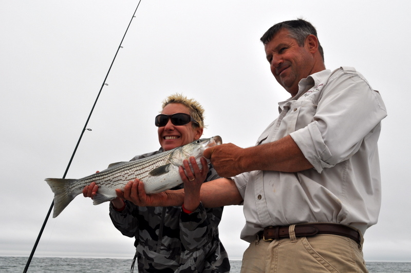 A Chatham Cape Cod Striped Bass