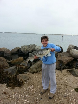 Chase Munro caught this striped bass on Lewis Bay.