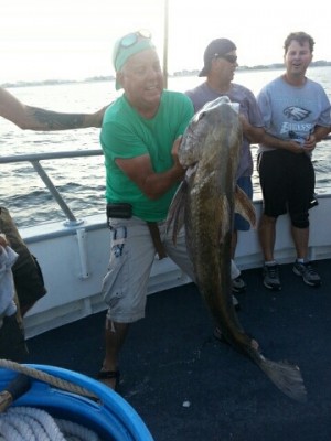 Steve O'Connor sent in this photo of a 70-pound black drum, caught aboard the Captain Cal out of Belmar, NJ.