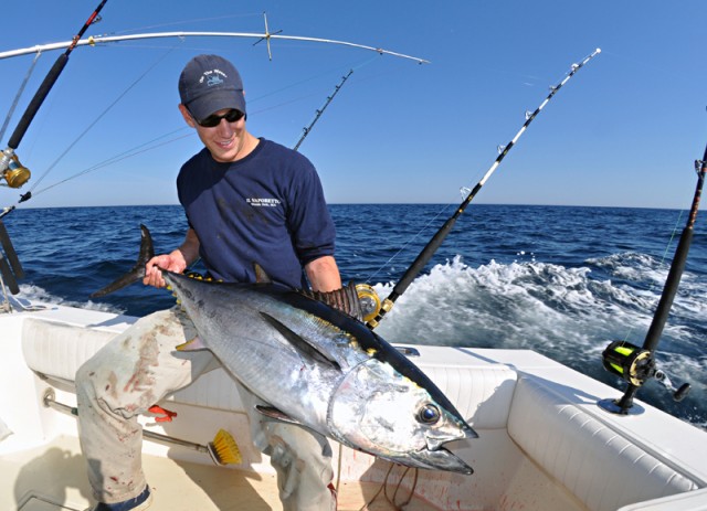 50 Pound Bluefin