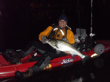 Eric Harrison is still catching stripers in Boston.