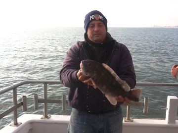 533592_494561270564353_1866388242_n