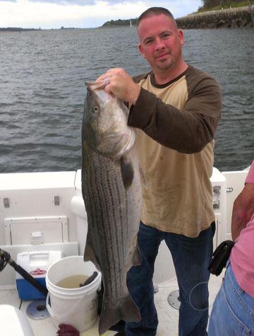 615808_528503343842943_476055075_o