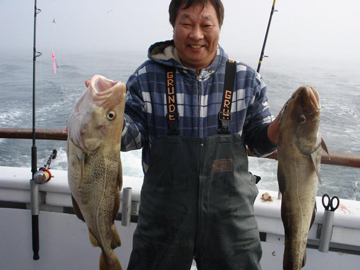 Another couple of good cod caught aboard the Miss Montauk.