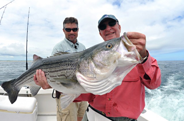 Striped Bass Joe Cronin
