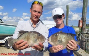 A couple of trigger fish have been caught recently off the coast of southern New Jersey.