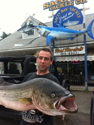 Arthur Veinott caught this 36-pounder on his first cast using a yellow 7" bomber. Photo courtesy of the Saco Bay Tackle Facebook Page