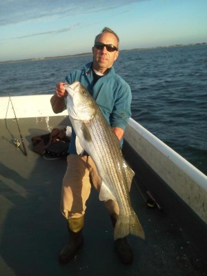 Dave Ryan landed this 41" bass in the 3 feet of water this past weekend.
