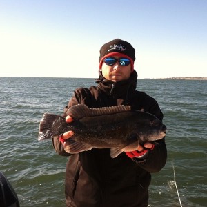 Reel Cast Charters reports "easy limits" of 'tog off the Connecticut coast.