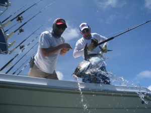 GolfoDulce-yellowfinTuna