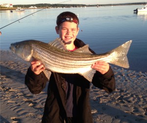 Adam Humphrey caught this 28" last Saturday morning from the beach around Pine Point in Scarborough, ME.