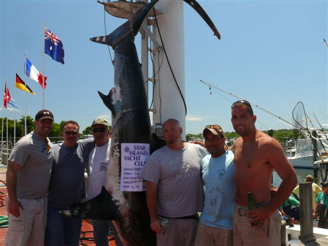 Bluefin 422 Thresher b thresher shark tournament mako star island