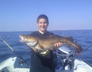 Boston Harbor Cod Boston Harbor Cod