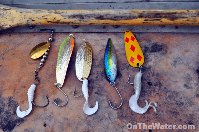 Shine and flash work well to grab a pike's attention; a white curly-tail grub convinces followers to striker. L to R: Author's spinner, Williams Whitefish, Williams Wabler, Sebile Onduspoon, Len Thompson. 