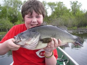 Largemouth bass Largemouth bass
