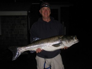 Roger Angrick landed this nice 39", 20 lbs. bass fishing live eels off the rocks on the Western side of Buzzards Bay not too far from Apponagansett Bay.