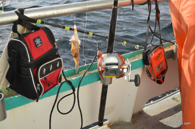 A few fishermen used electric reels to bring the fish and rigs up from the depths. 