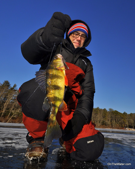 Post-storm, the jumbo perch should be biting!