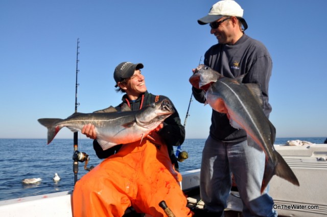 Stellwagen bank pollock fishing Stellwagen Bank pollock fishing