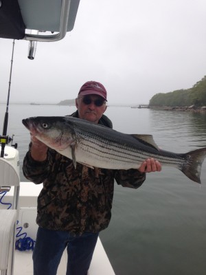 William Bell from Upstate New York caught this 40-inch striper in Buzzards Bay over the weekend while fishing with Captain John Curry of CapeFishing.net
