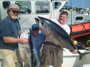 Trolling tuna has been good at the Regal Sword off Cape Cod. Here Captain John of Fish Chatham Charters shows off a great day’s catch.