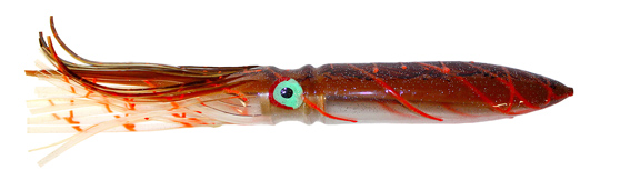 Lure of the Month: FuKu Squid