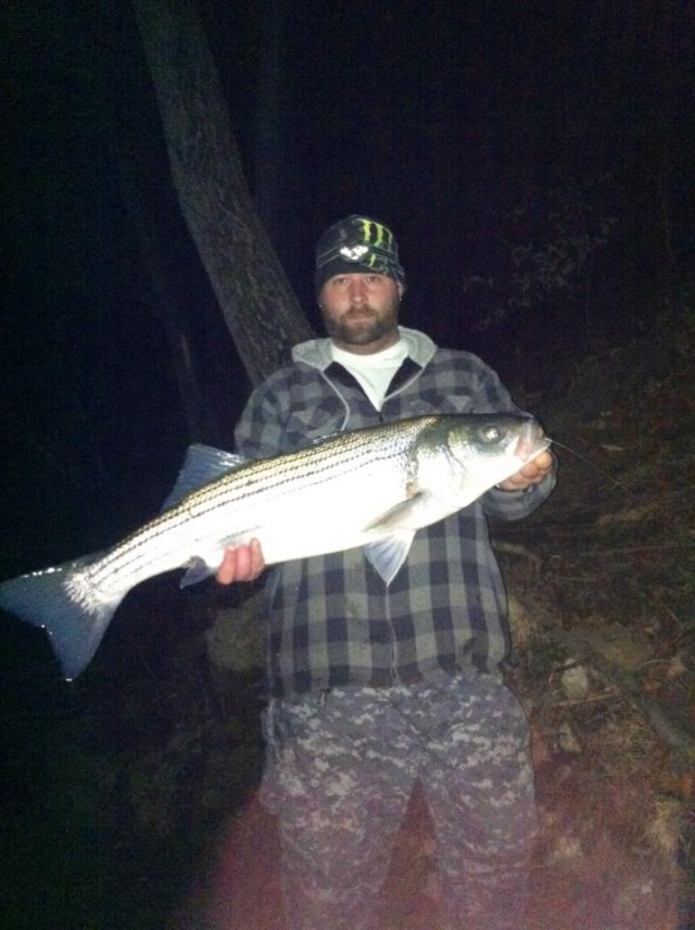 Holdover Connecticut Striper