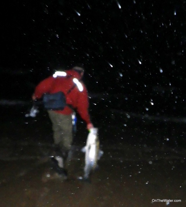 Jimmy Fee releasing striper Cape Cod Surfcasting