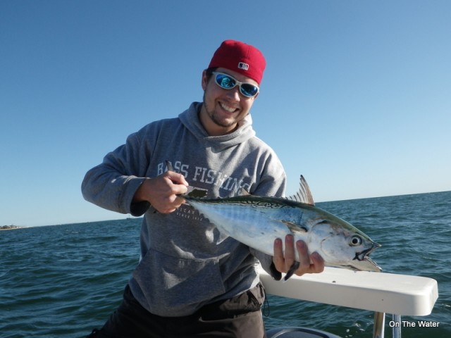 Cape Cod False Albacore 2011